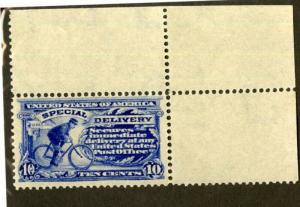 US Stamps # E6 10c Special Delivery XF OG NH Corner Margin Single PO Fresh