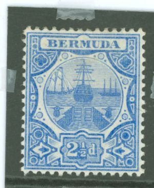 Bermuda #38  Single