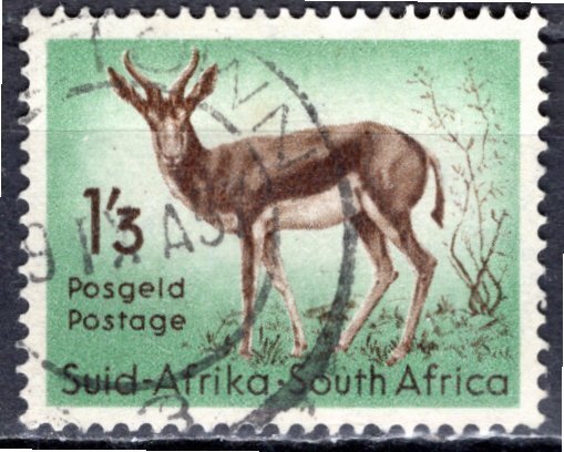 South Africa; 1954: Sc. # 209: Used Single stamp