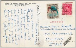 59231  -   THAILAND Siam - POSTAL HISTORY: POSTCARD to ITALY 1967 - BIRD