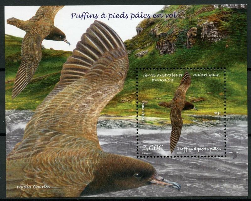 FSAT TAAF 2019 MNH Fresh-footed Shearwater 1v M/S Sea Water Birds Stamps