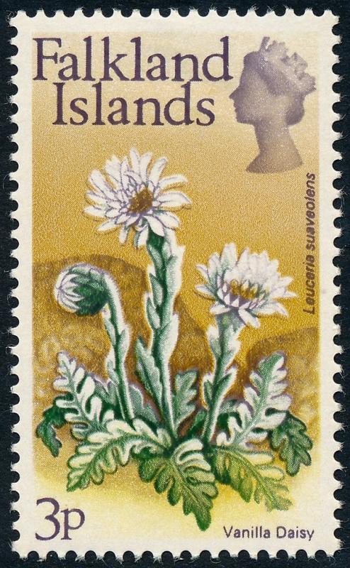 Falkland Islands 1972 Flowers 3p Vanilla Daisy SG281 MH