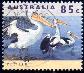 Bird, Pelican, Australia stamp SC#1283 used