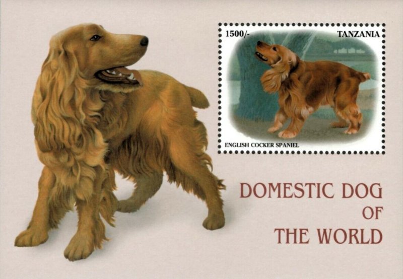 Tanzania 1999 - Dogs Cocker Spaniel - Souvenir Stamp Sheet - Scott #1829 - MNH