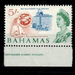 Bahamas 216 MNH XF   bright  color