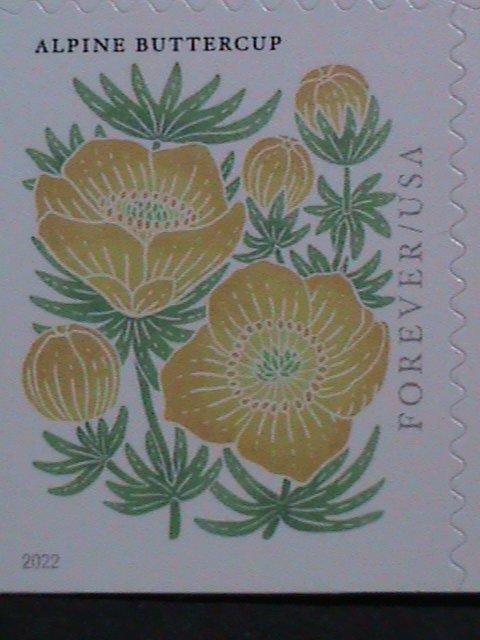 ​UNITED STATES-2022 MOUNTAIN FLOWERS-FIRST CLASS FOREVER MNH BOOKLET-20 STAMPS