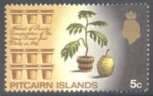 Pitcairn Islands ~ #101 ~ Breadfruit ~ MLH