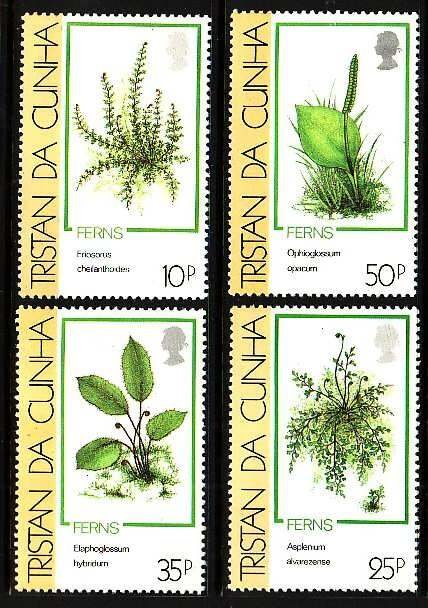 Tristan Da Cunha-Sc#460-3- id12-unused NH set-Plants-Ferns-1989-  Worldwide  - South Atlantic Ocean - Tristan da Cunha, General Issue Stamp / HipStamp