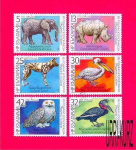 BULGARIA 1988 Nature Fauna Wild Animals & Birds Sofia Zoo 6v Sc3329-3334 CTO VF