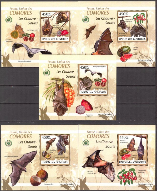 {104} Comoros 2009 Bats 5 S/S Deluxe MNH**