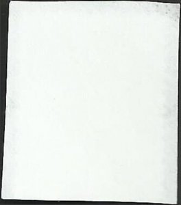 # 4816 USED POINSETTIA