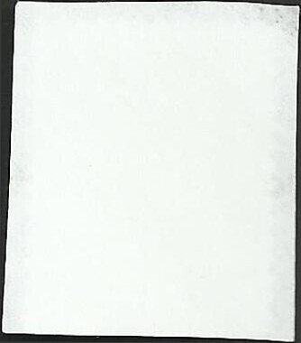 # 4816 USED POINSETTIA