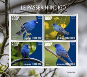 Togo - 2019 Indigo Bunting Bird on Stamps - 4 Stamp Sheet - TG190570a