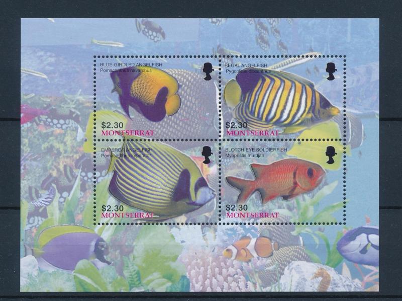 [40597] Montserrat 2004 Marine Life Fish MNH Sheet