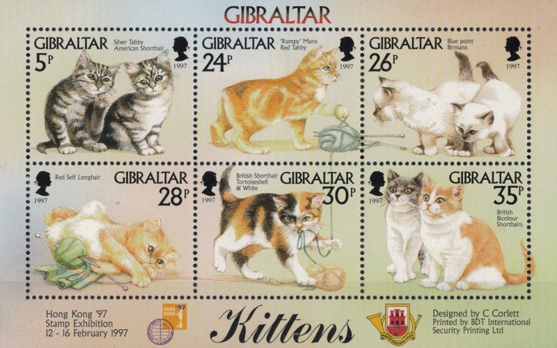 GIBRALTAR 1997 - Cats, exhibitions  / minisheet MNH