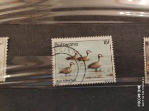 1982	Botswana	birds  (F4)