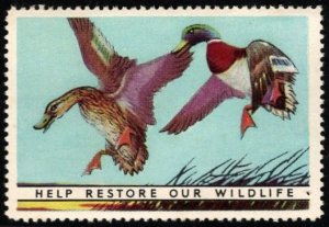 1938 US Poster Stamp National Wildlife Federation Mallard Duck