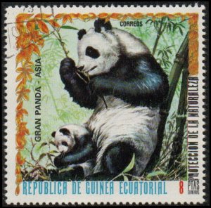 Equatorial Guinea sw1235 - Cto - 8p Giant Panda (1976)