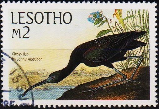 Lesotho. 1985 2m S.G.651 Fine Used