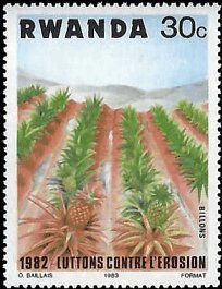RWANDA   #1141 MNH (1)