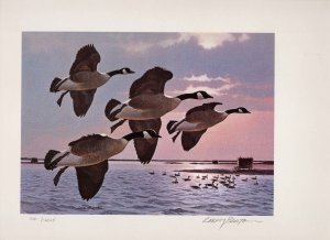 NEW YORK #1 1985 STATE DUCK STAMP PRINT CANADA GEESE by Larry Barton