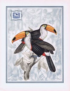 Bolivia Helio-Vaugirard Proof of the 1939 1b Toco toucan