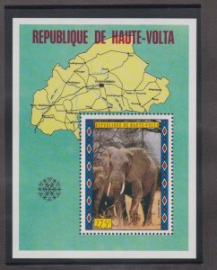 Burkina Faso # C172, Elephant, Souvenir Sheet, Mint NH, 1/2 Cat.