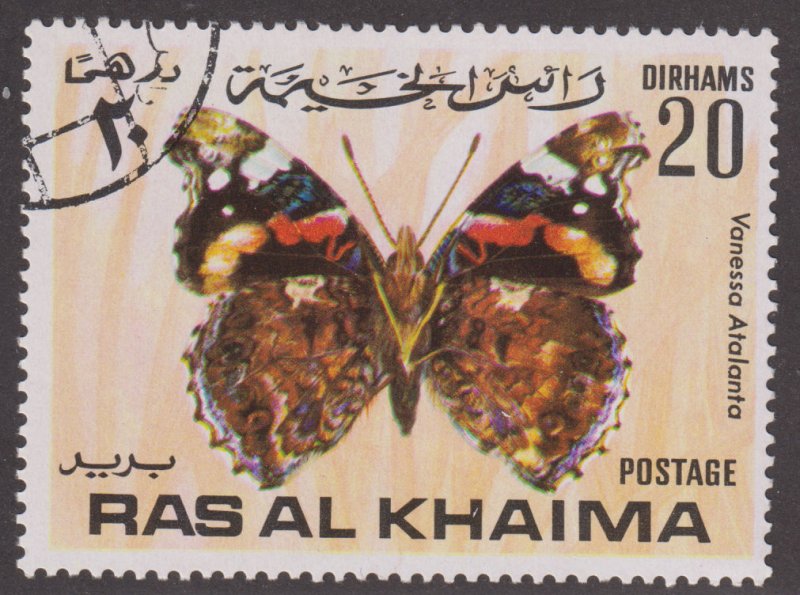 UAE Ras Al Khaimah Unlisted Tropical Butterfly