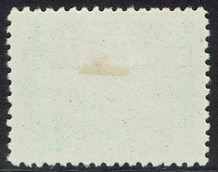 NEWFOUNDLAND 1910 300TH ANNIVERSARY 5C VIEW