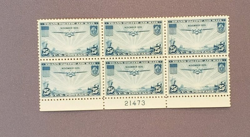 C20, Air Mail, Mint Plate Block of 6, gum skips and crease on back (see photo)