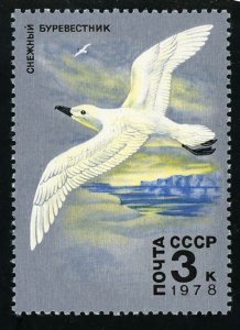 Russia CCCP Bird Seabird Ocean Cloud Individual Stamp Mint NH