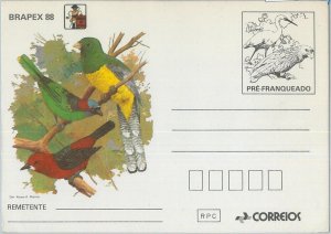 75744 - BRAZIL - Postal History - Postal Stationery AEROGRAMME - Birds PARROTS