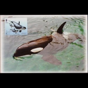 JERSEY 2021 - Maximum Card - Killer Whales 84p