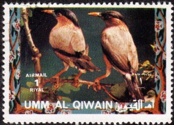 Umm al Qiwain sw1470 - Cto - 1r Brahminy Starling (1972) (2)