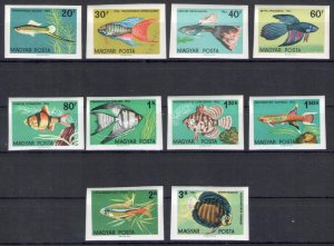 1962 Hungary - Fish - Unlacered - Michel no. 1820B/1829B - 10 values - MNH** - 3
