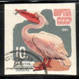 Bird, Pelican, Russia stamp SC#2909 used, imperf