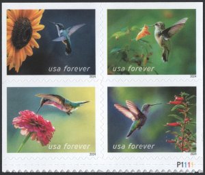 NEW ISSUE (Forever) Garden Delights Booklet Block of Four (2024) SA