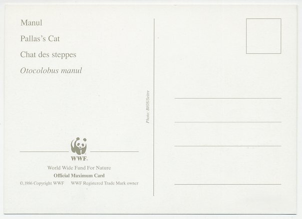 Maximum card Tajikistan 1986 Wildcat - WWF