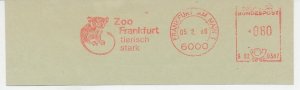 Meter cut Germany 1960 Sulawesi tarsier - Zoo Frankfurt 