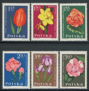 Poland 1964 Garden Flowers set Sc# 1279-90 NH