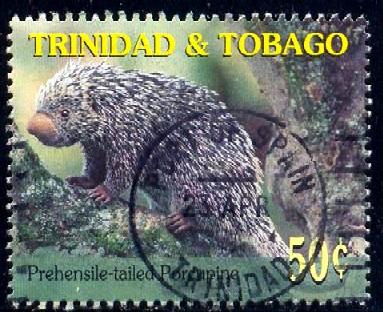 Prehensile-tailed Porcupine, Trinidad & Tobago SC#613 used