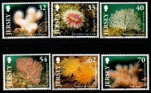 JERSEY SG1163/8 2004 MARINE LIFE MNH