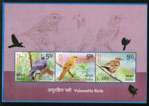 India 2017 Vulnerable Birds Nilgiri Pigeon Warbler Pipit Wildlife Fauna M/s M...