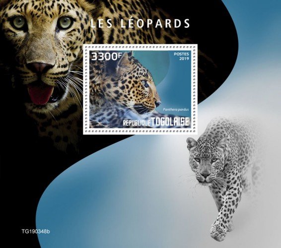 TOGO - 2019 - Leopards - Perf Souv Sheet - MNH