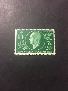 Madagascar sc B15 MLH