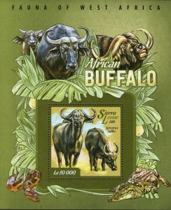 Buffalo Stamp Syncerus Caffer African Fauna S/S MNH #6049 / Bl.741