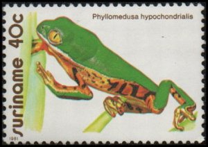 Suriname 574 - Mint-NH - 40c Northern Orange-legged Leaf Frog (1981) (cv $0.60)