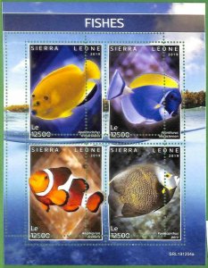 A2557 - SIERRA LEONE - ERROR: MISPERF, Miniature sheet - 2019, Fish, Marine Life