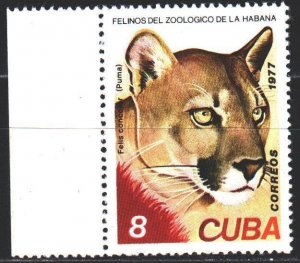 Cuba. 1977. 2259 from the series. Lion fauna. MNH.