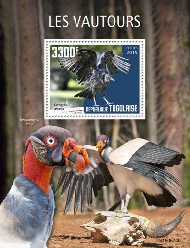 TOGO - 2019 - Birds : Vultures - Perf Souv Sheet - M N H